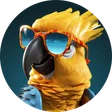 toto_napoli88